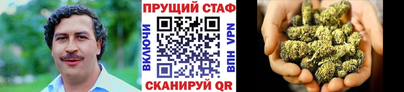 Купить закладку Бошки Шишки  APVP  Гашиш  Меф мяу мяу  Сурск
