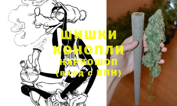 ПСИЛОЦИБИНОВЫЕ ГРИБЫ Белокуриха
