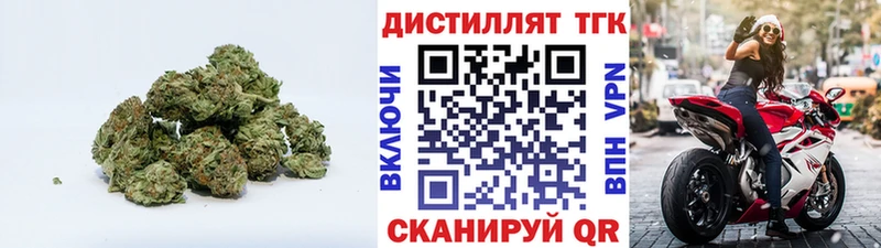 ТГК концентрат  Купить  Сурск 
