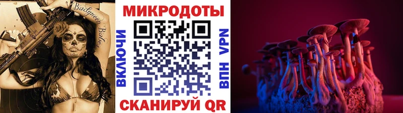 Псилоцибиновые грибы мухоморы  Купить закладки  Сурск 